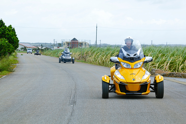 サトウキビ畑を横目に走るスパイダー