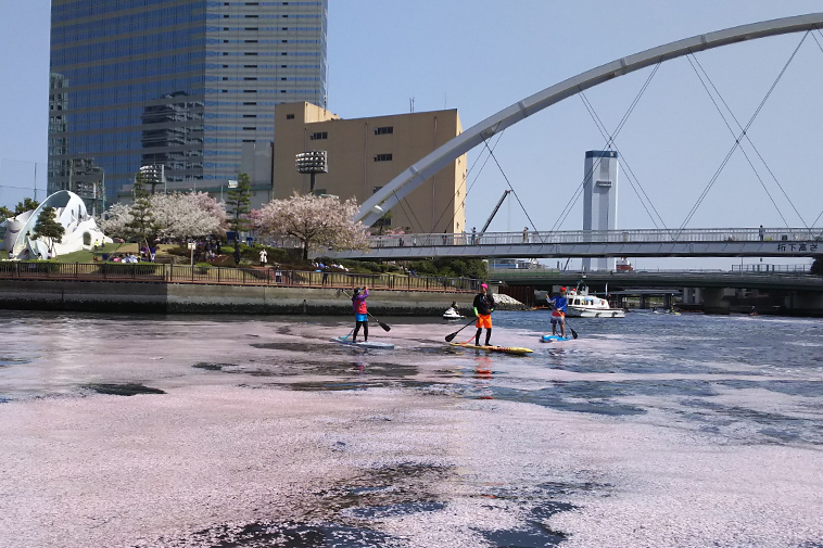 K38ジャパンコラム