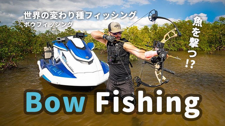 ボウフィッシング