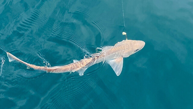 2021ジェットフィッシング大会in浅虫